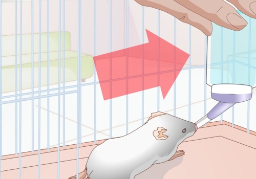 Wat stoot muizen snel af?